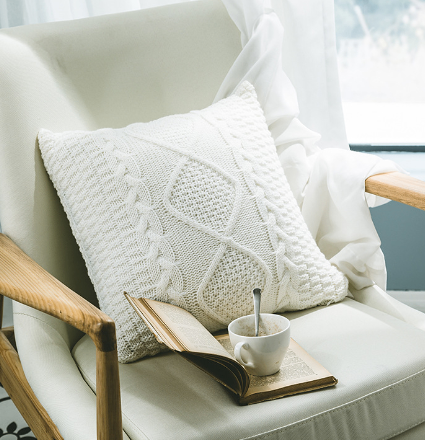 Soft Home Pillow Case