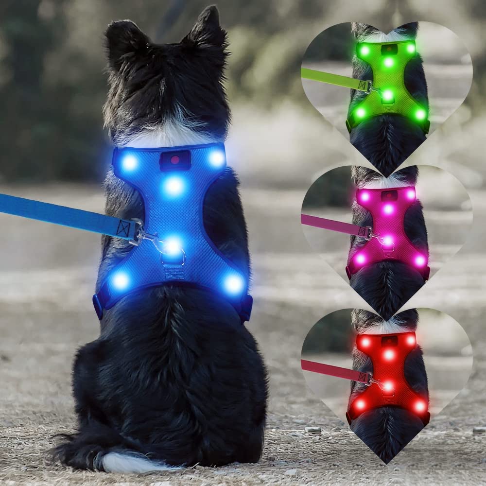 DOMIGLOW Safety LED Dog Harness - Light Up Dog Vest No-Pull Dog Harness - Rechargeable Glowing Pet Harness for Night Walking & Camping (Blue Small)